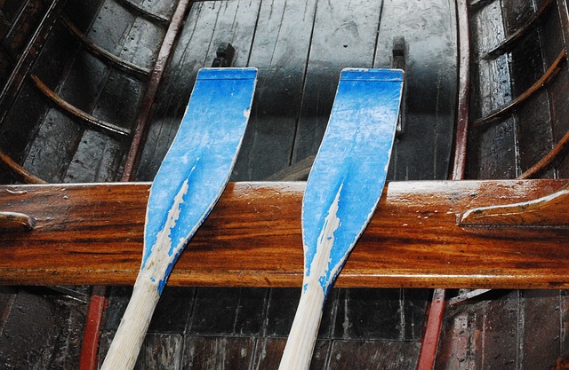 canoe paddles