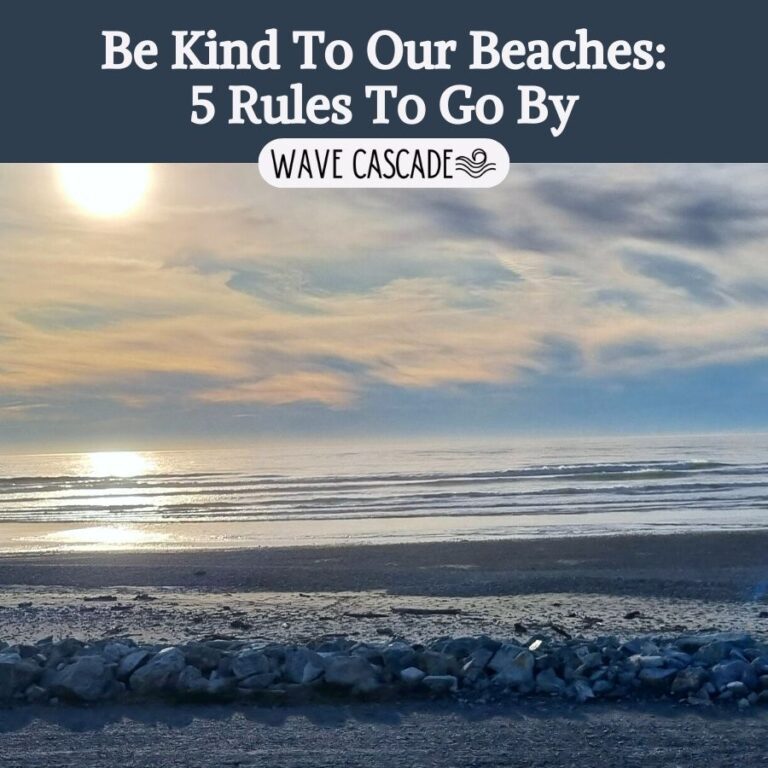 image says "be kind to our beaches: 5 rules to go by" and has an image of rocky beach and ocean